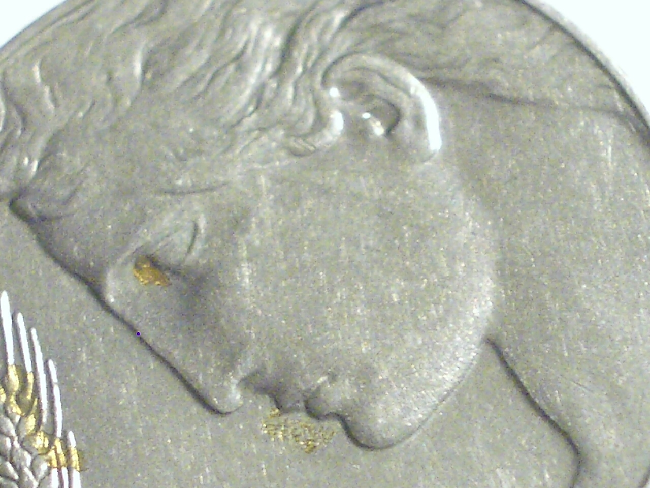 IMGP1377.JPG