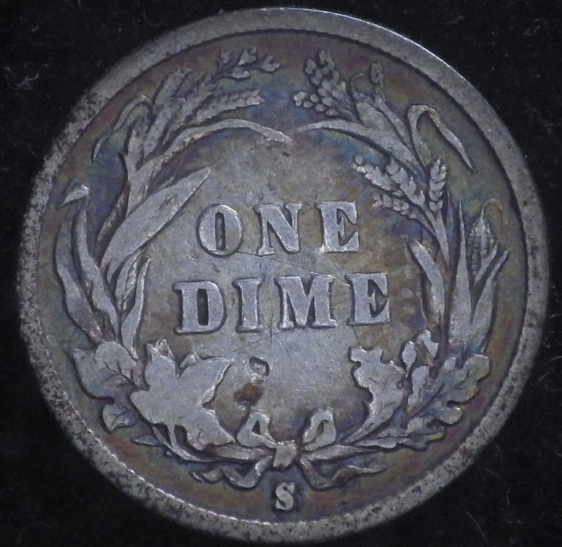 IMGP2839.JPG