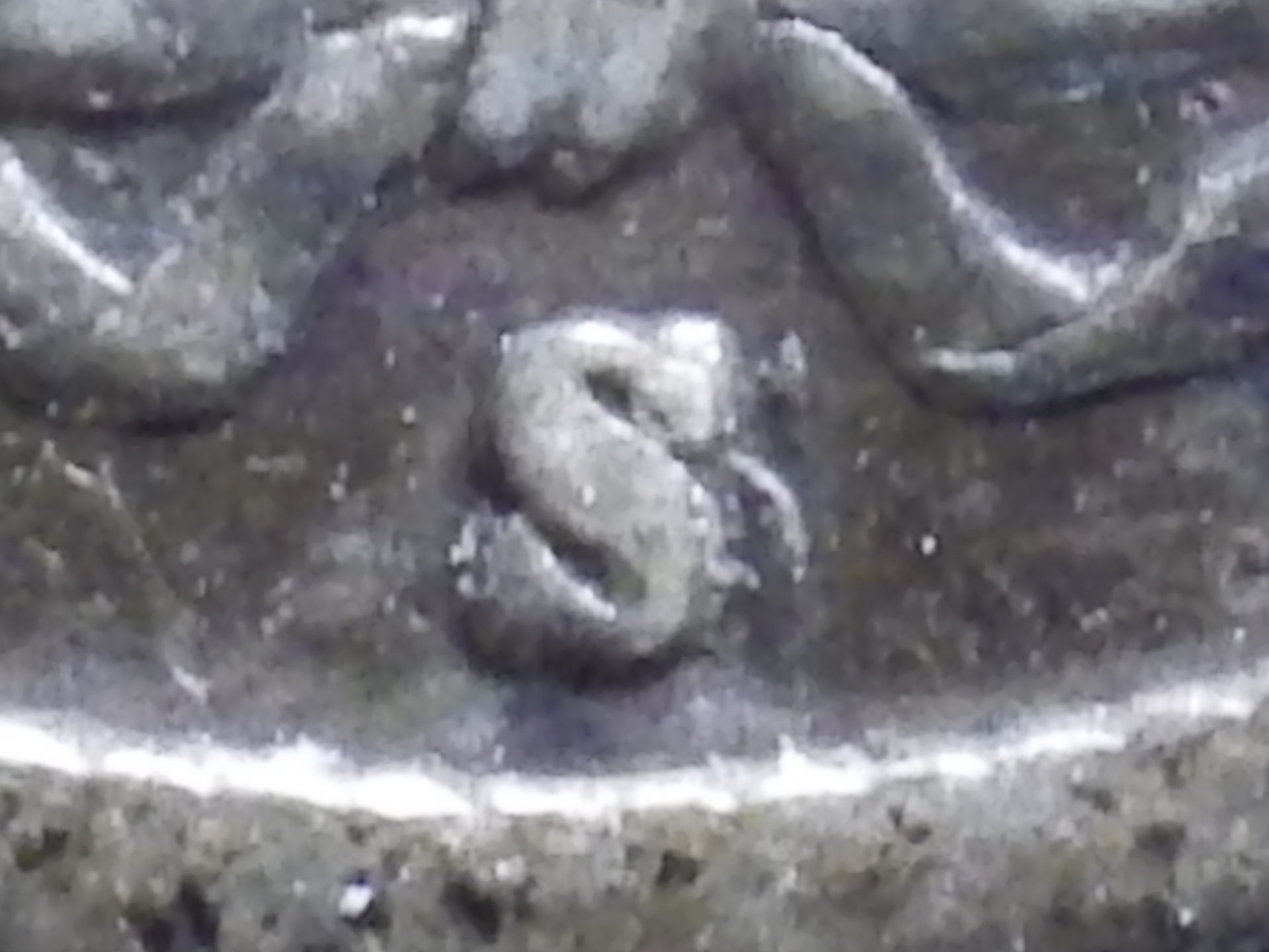 IMGP2842.JPG