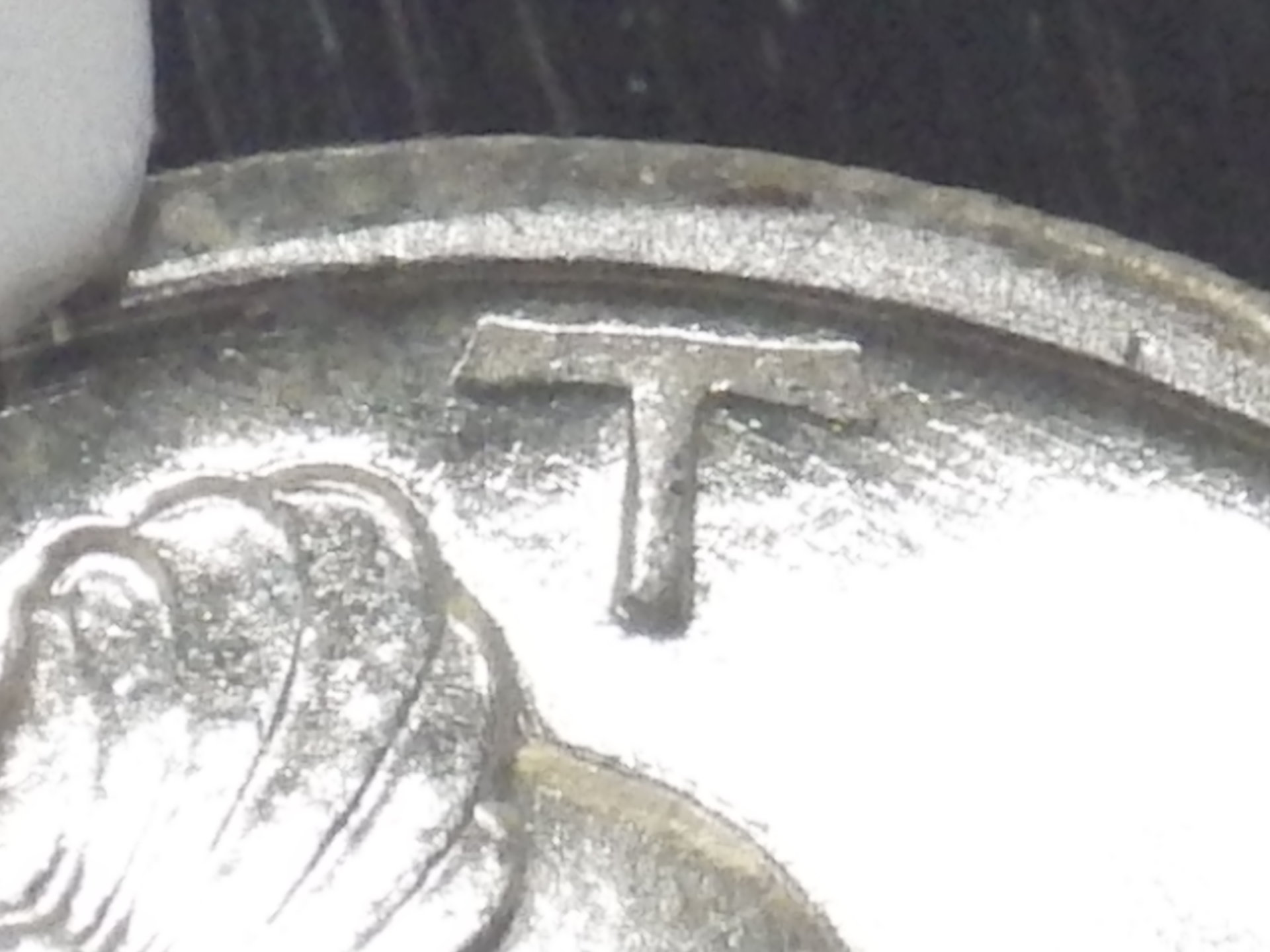 IMGP3214.JPG