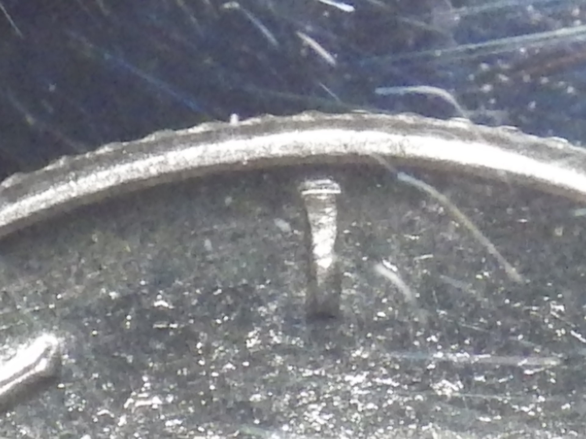 IMGP3218.JPG