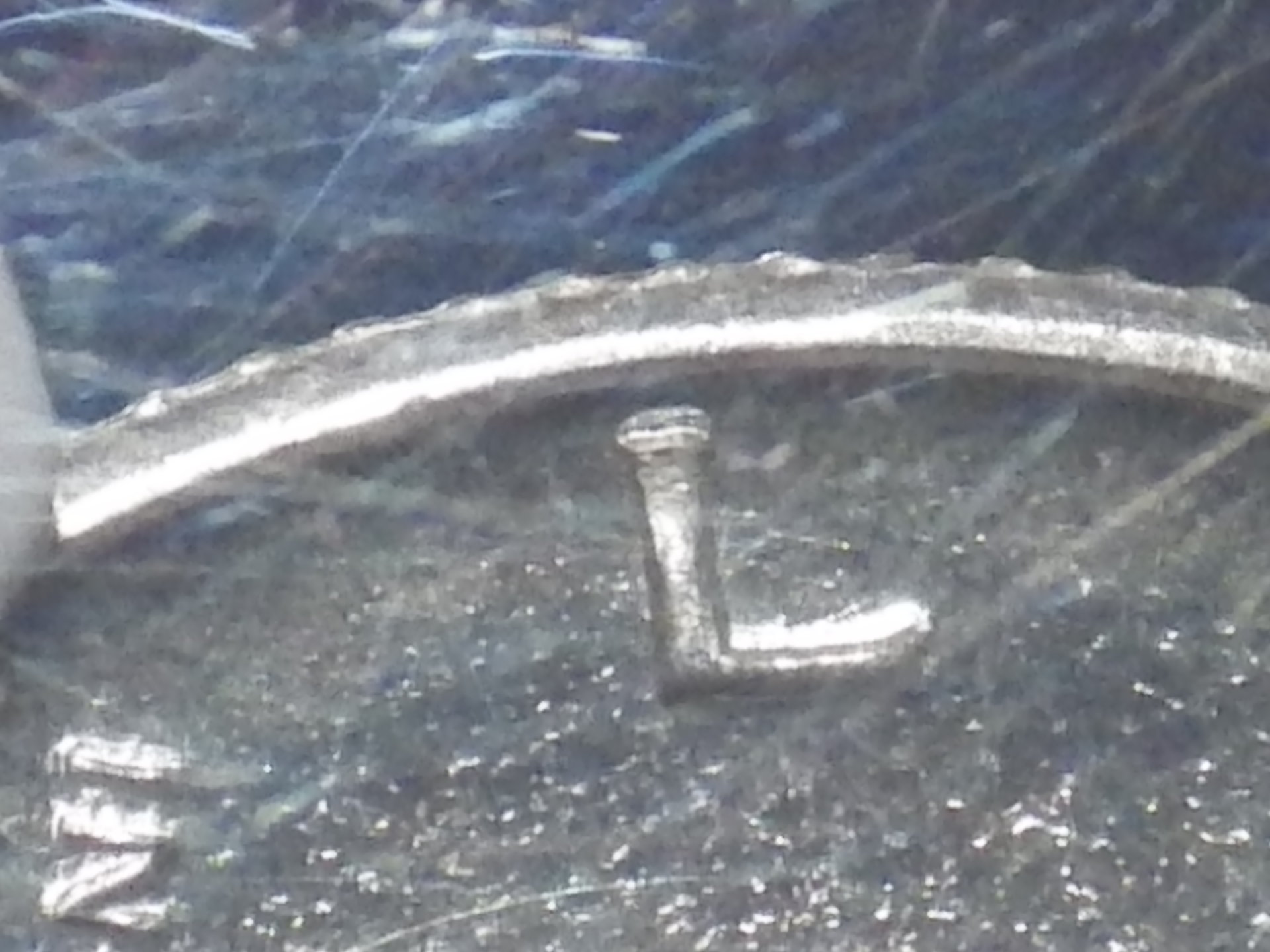 IMGP3220.JPG