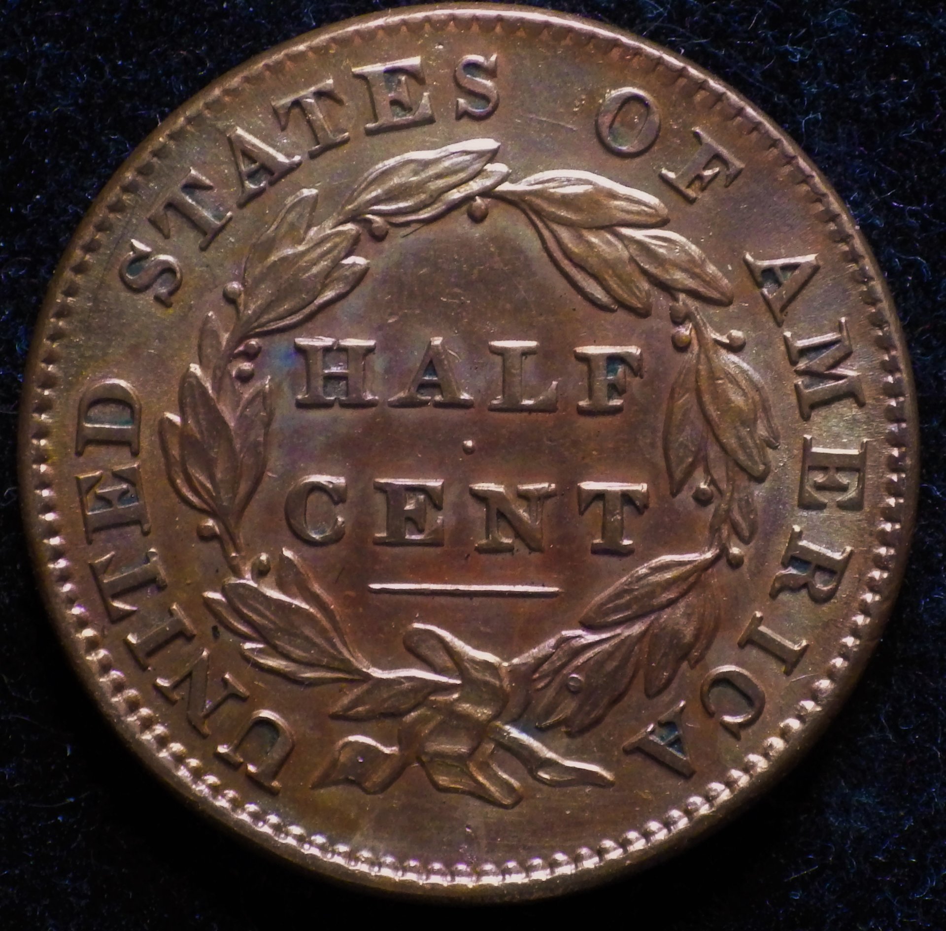 IMGP4092.JPG