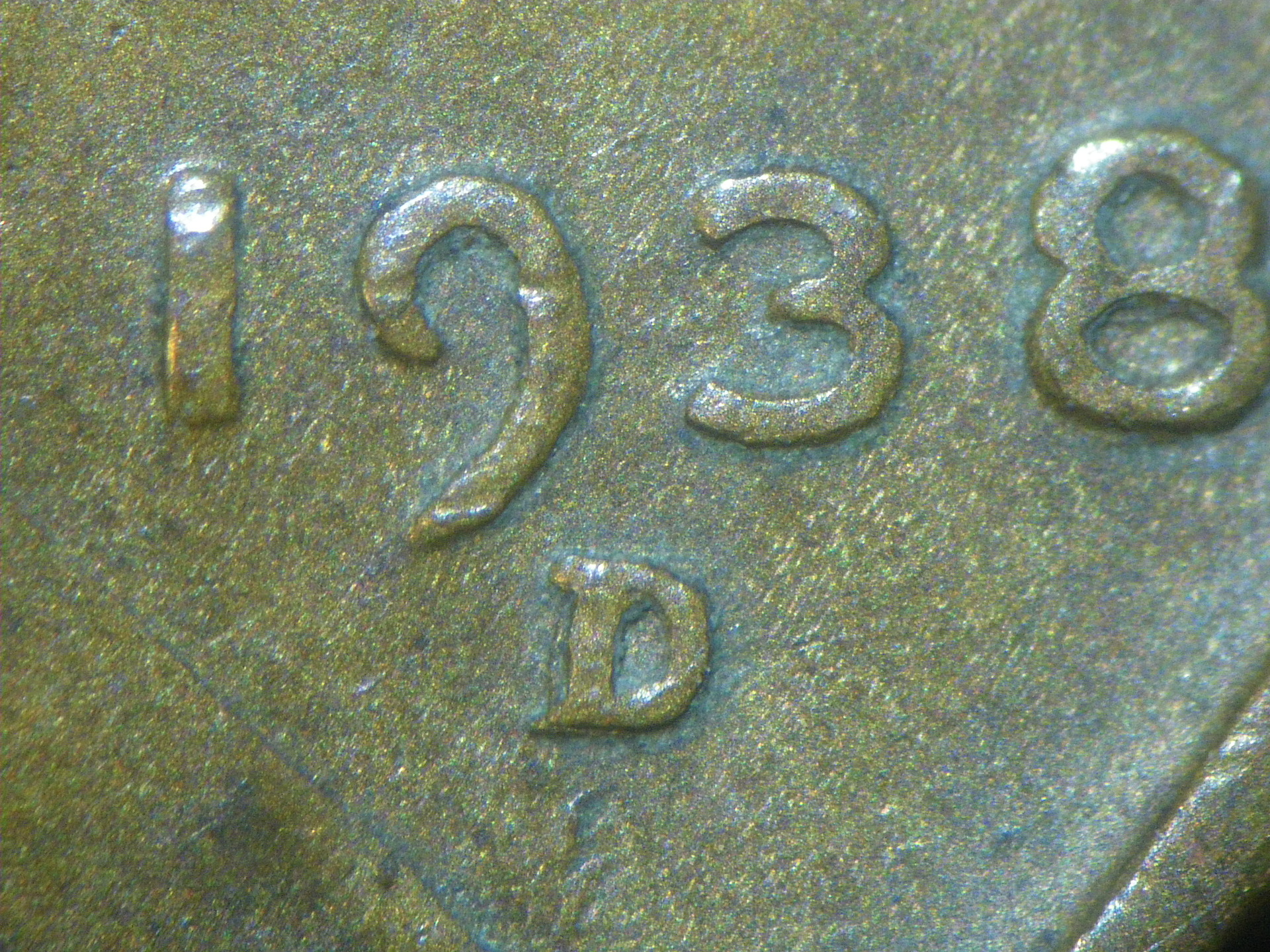 IMGP5294.JPG