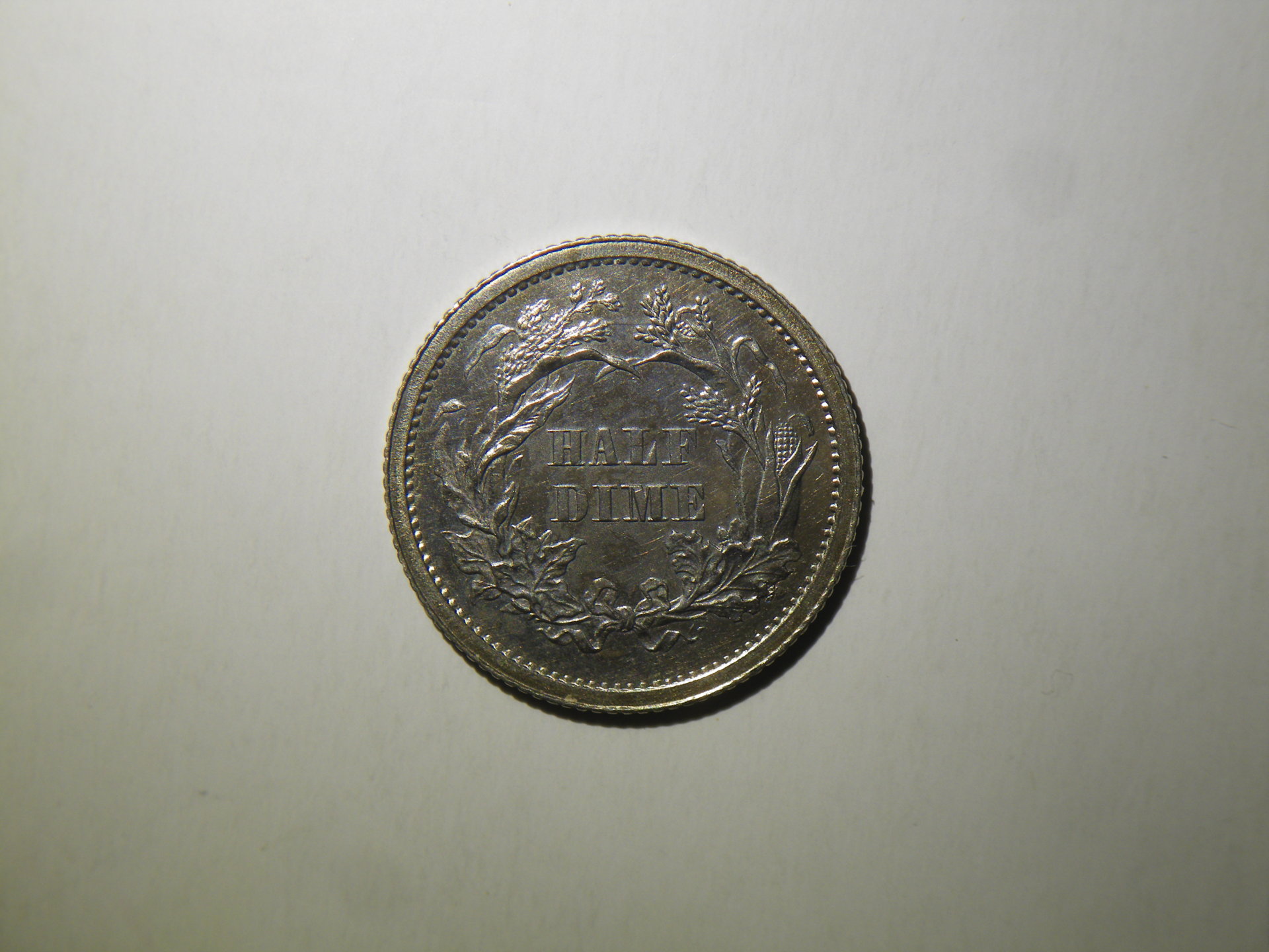 IMGP5792.JPG