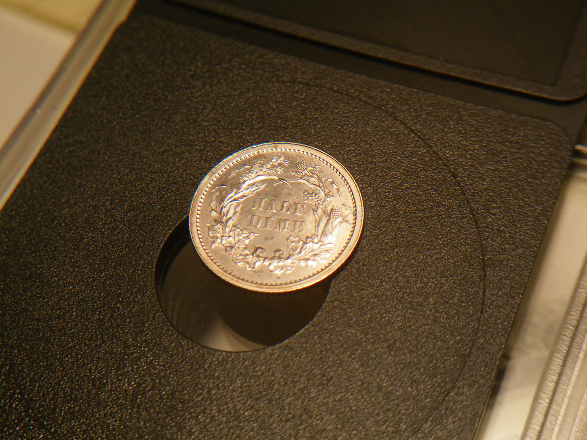 IMGP5804.JPG
