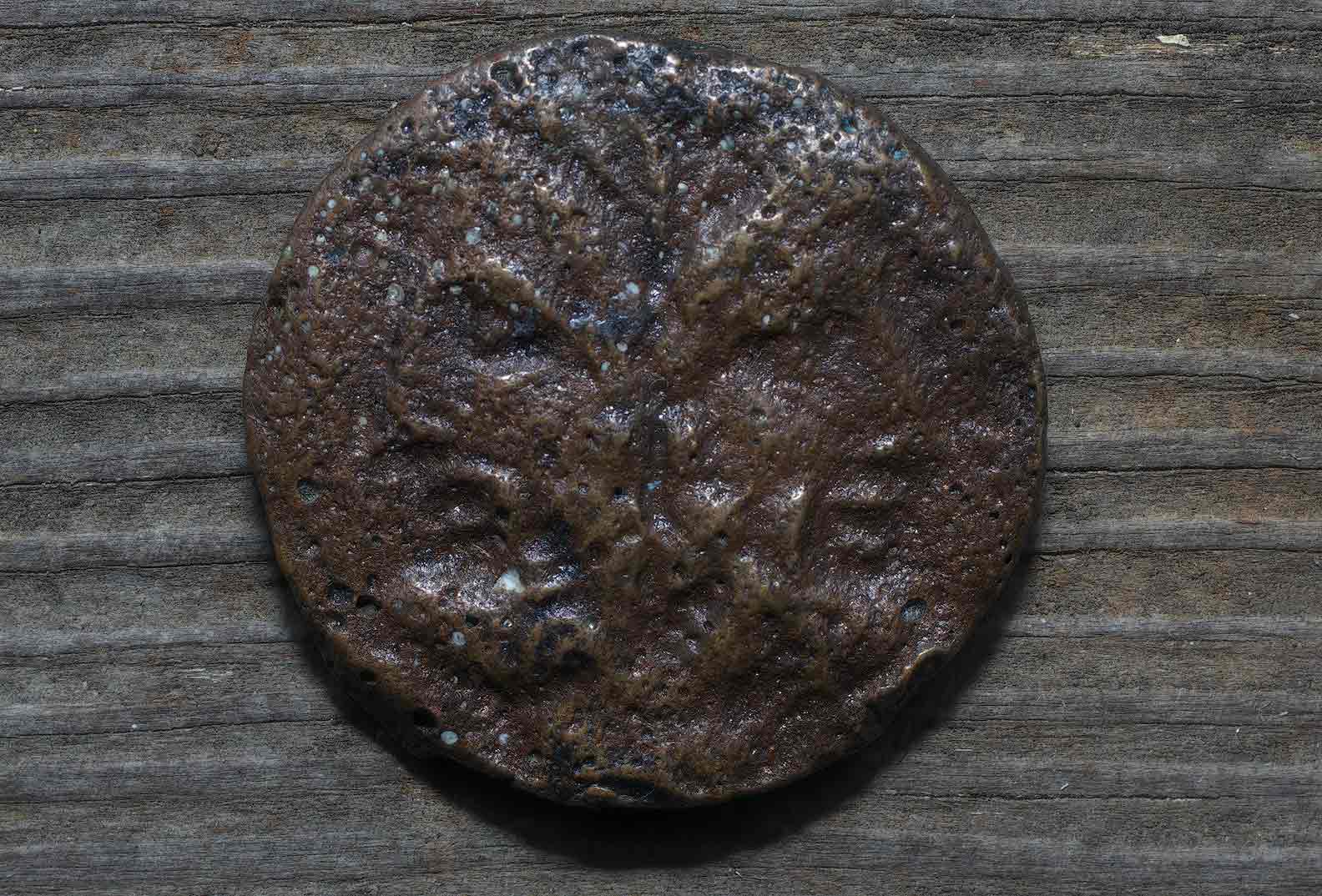 IMGP8622.jpg
