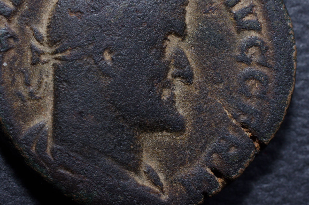 IMGP8943.jpg
