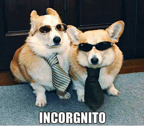incorgnito-34172019.png
