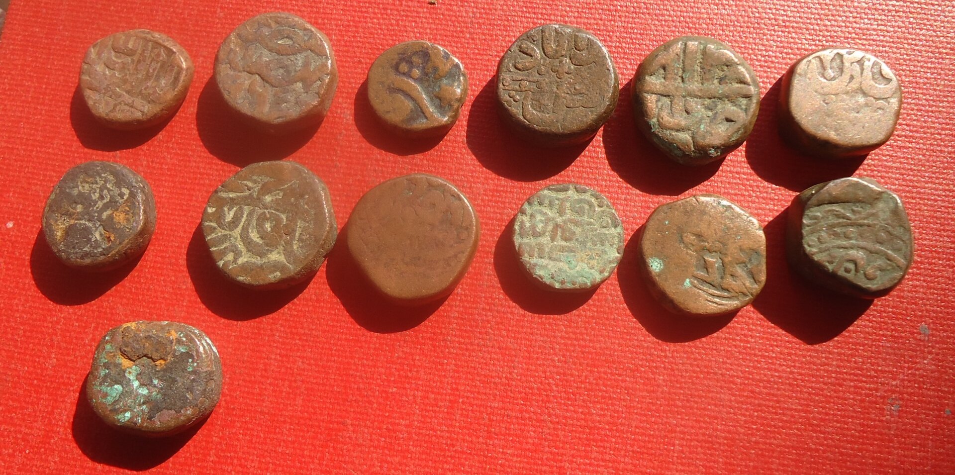 India - 12 plus 1 dam lot Jun 2021 (3).JPG
