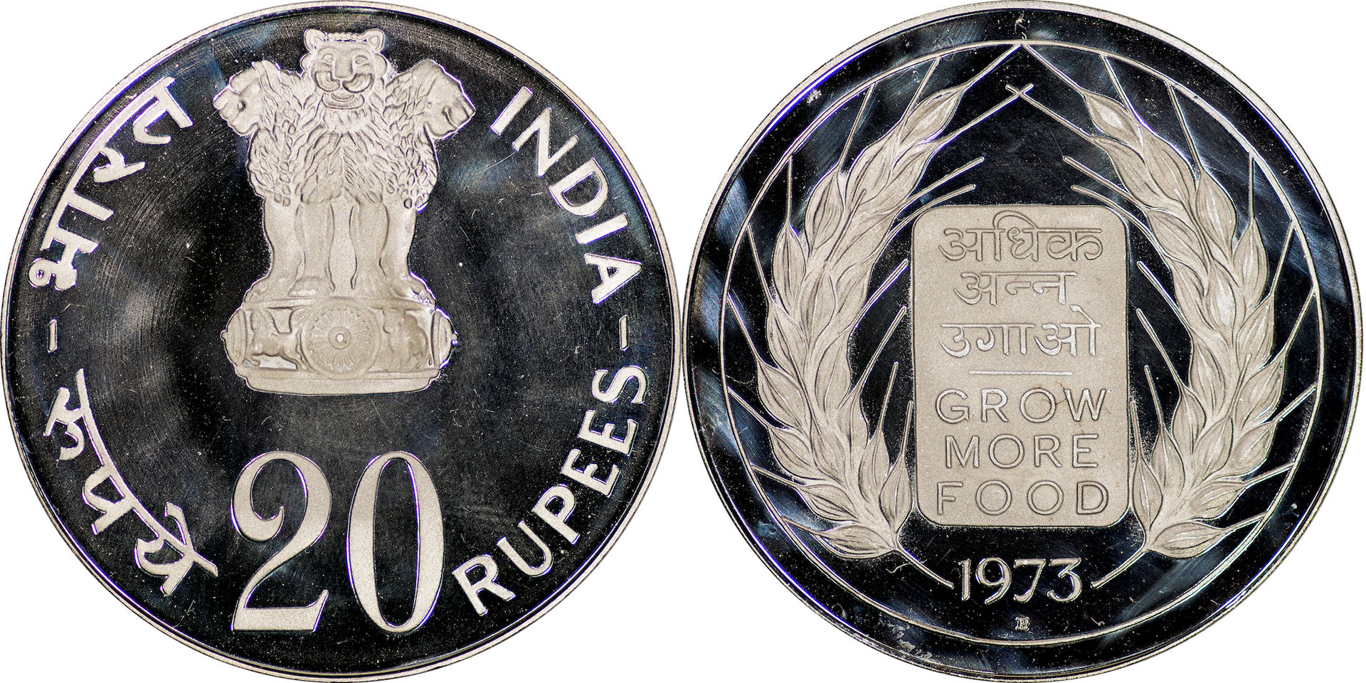 India - 1973 20 Rupees.jpg