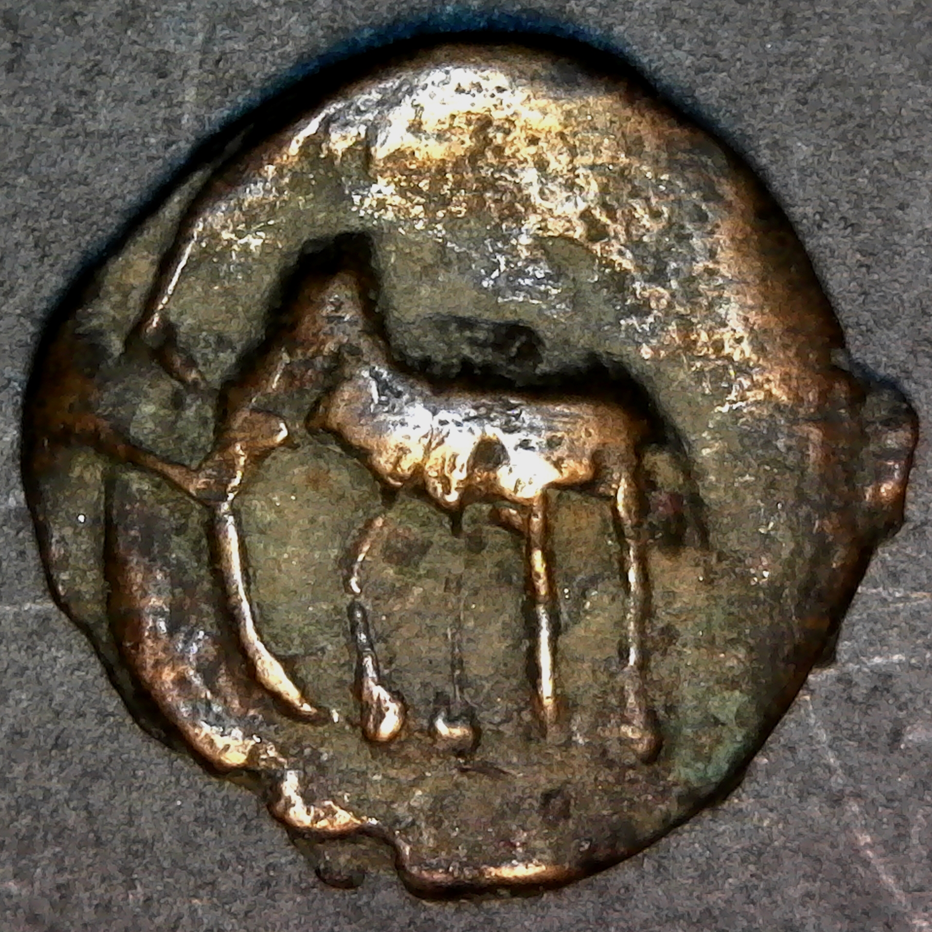 INDIA, SHUNGA DYNASTY 185BC 73BC Quarter KARSHAPANA rev A.jpg