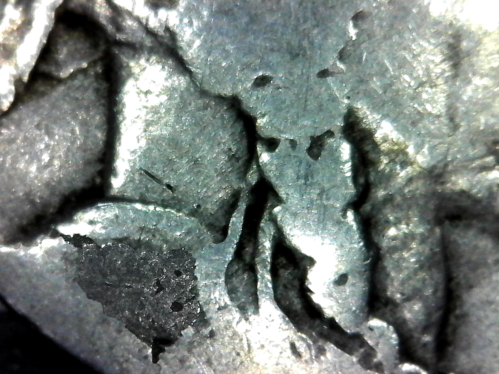 INDIAN HEAD.jpg
