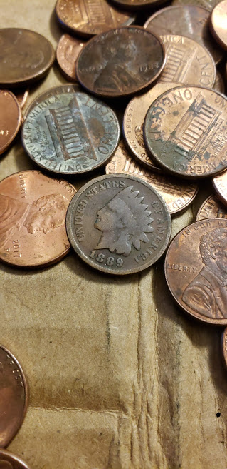 INDIANHEADCENTOOOOOHYEAHROLHUNT!.jpg