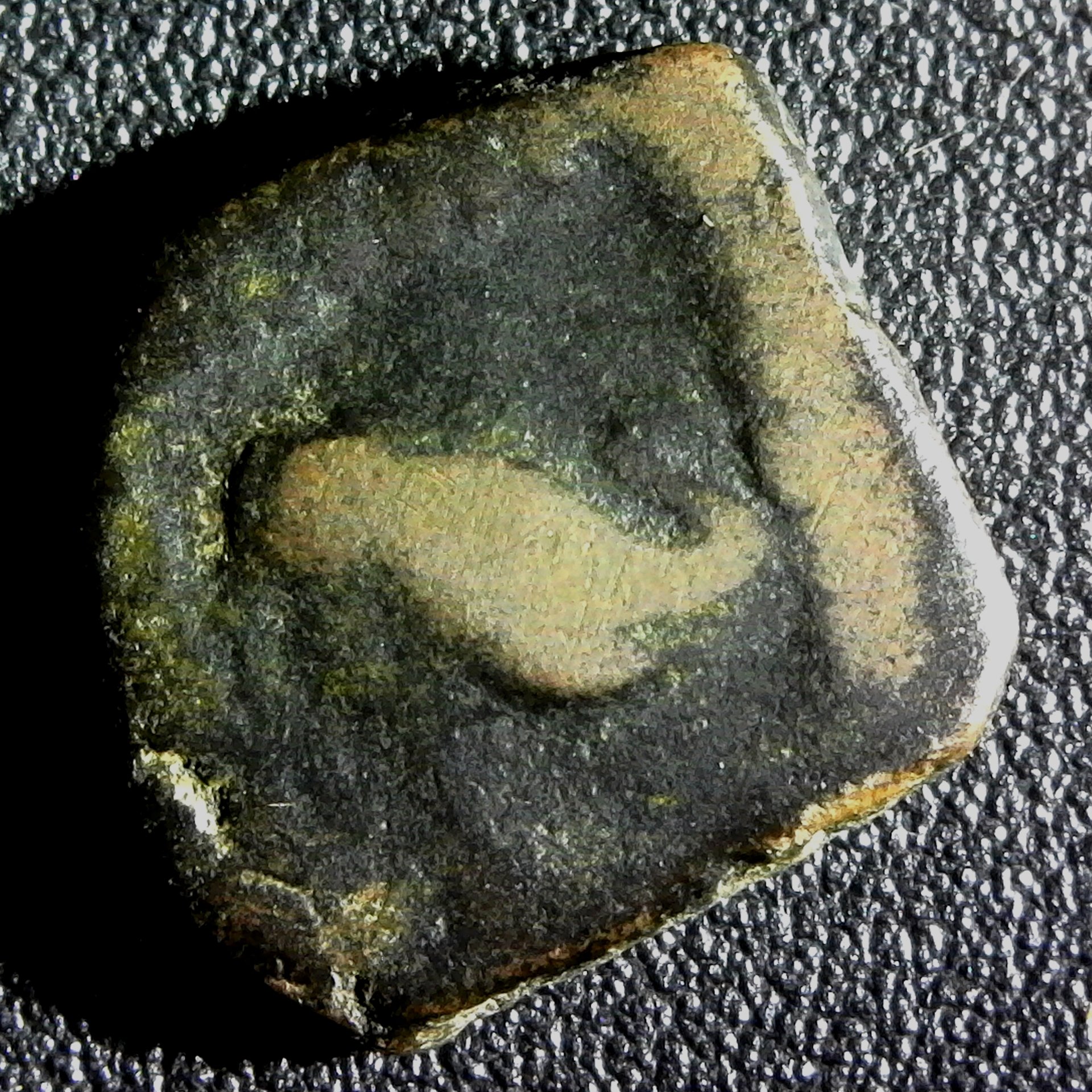 Indo-Greek  Bactria, Menander I (tentative id) obv.jpg