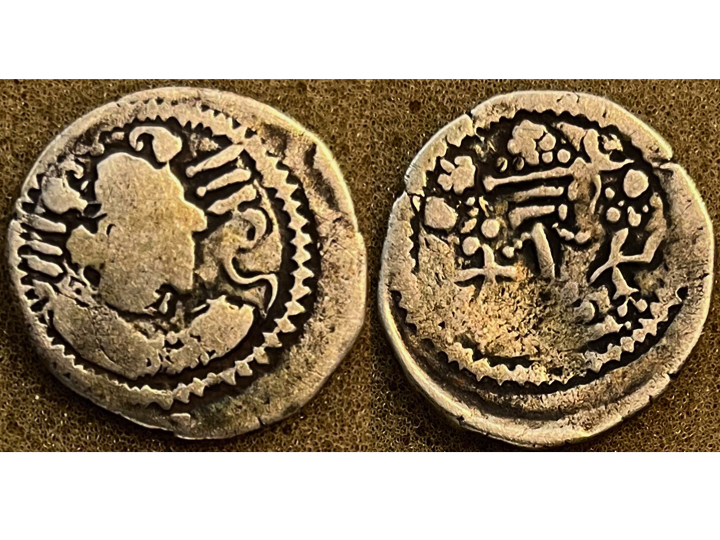 Indo-Sasanian early.jpg