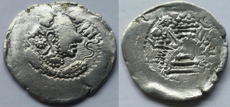 Indo sassanian 1.1.2-2 23 3.91.jpg