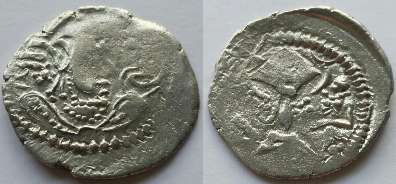 Indo sassanian 1.1.5-1 24 4.05.jpg
