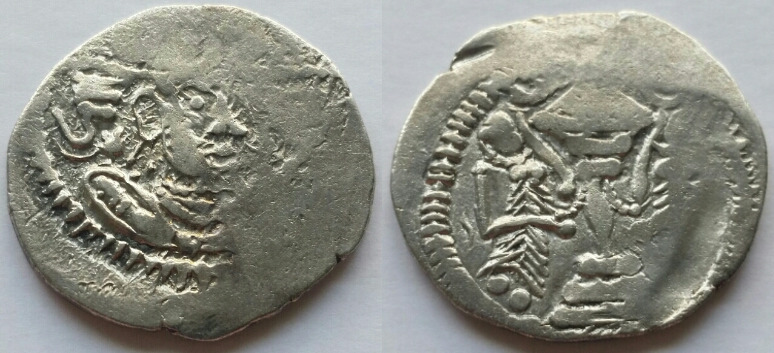 Indo sassanian 1.1.5-2 23 4.04.jpg