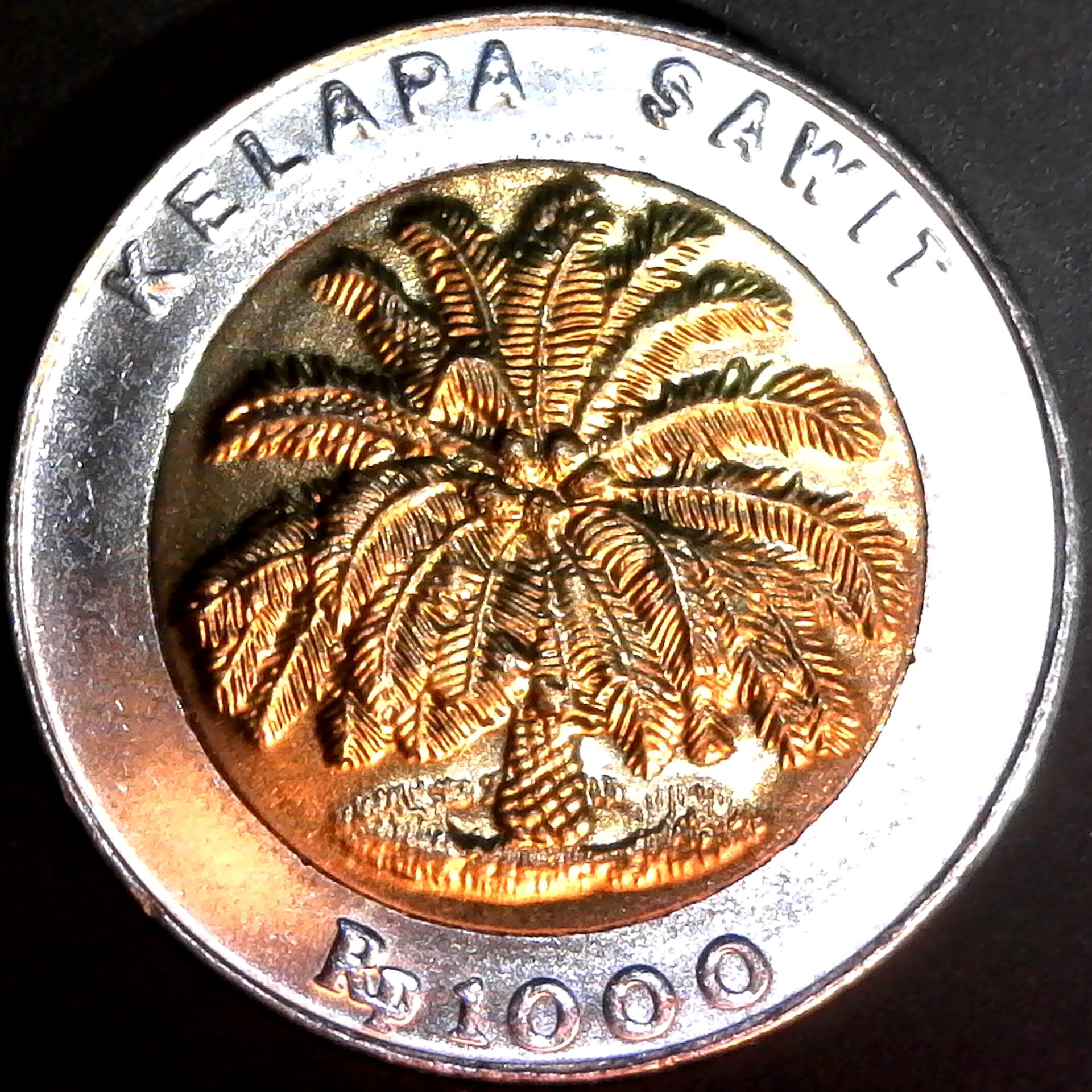 Indonesia 1000 Rupiah 1995 rev.jpg
