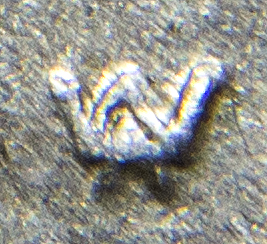 Initials detail.jpg