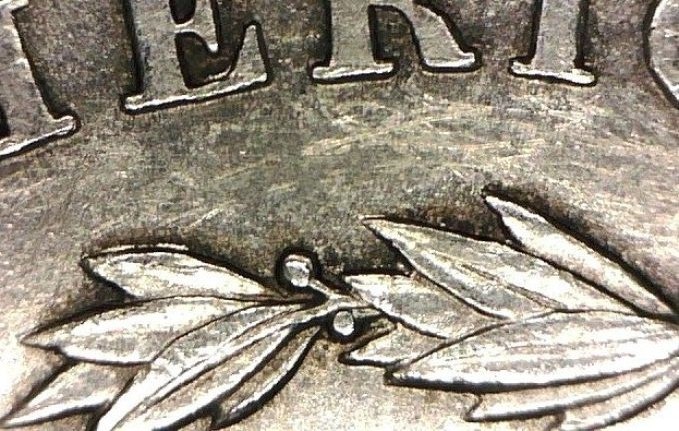 inside leaves.jpg