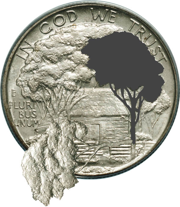 Insureyourcoins.jpg