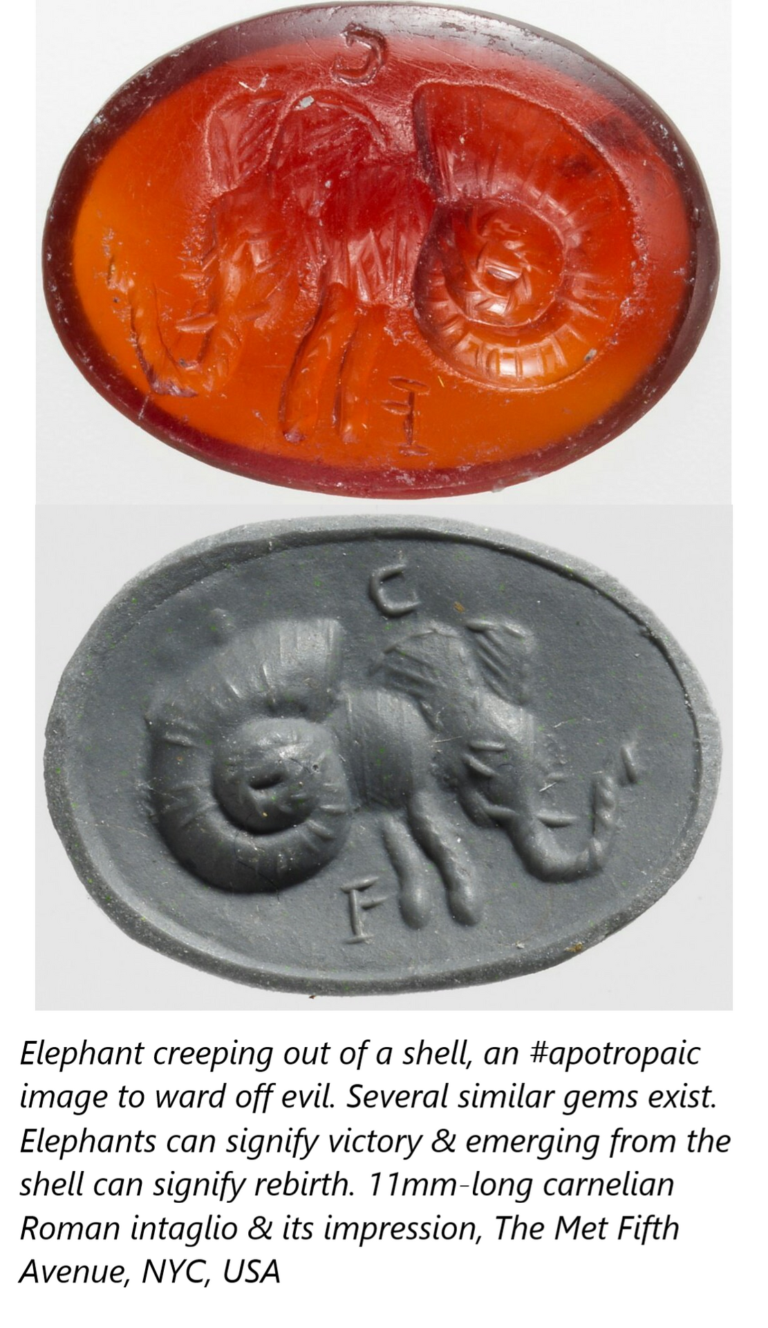 intaglio, elephant, shell and impression. Met 5th Av..png