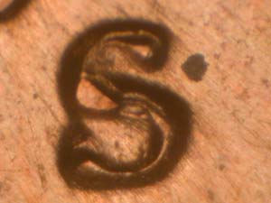 Internet_20200512_180854_8.jpeg