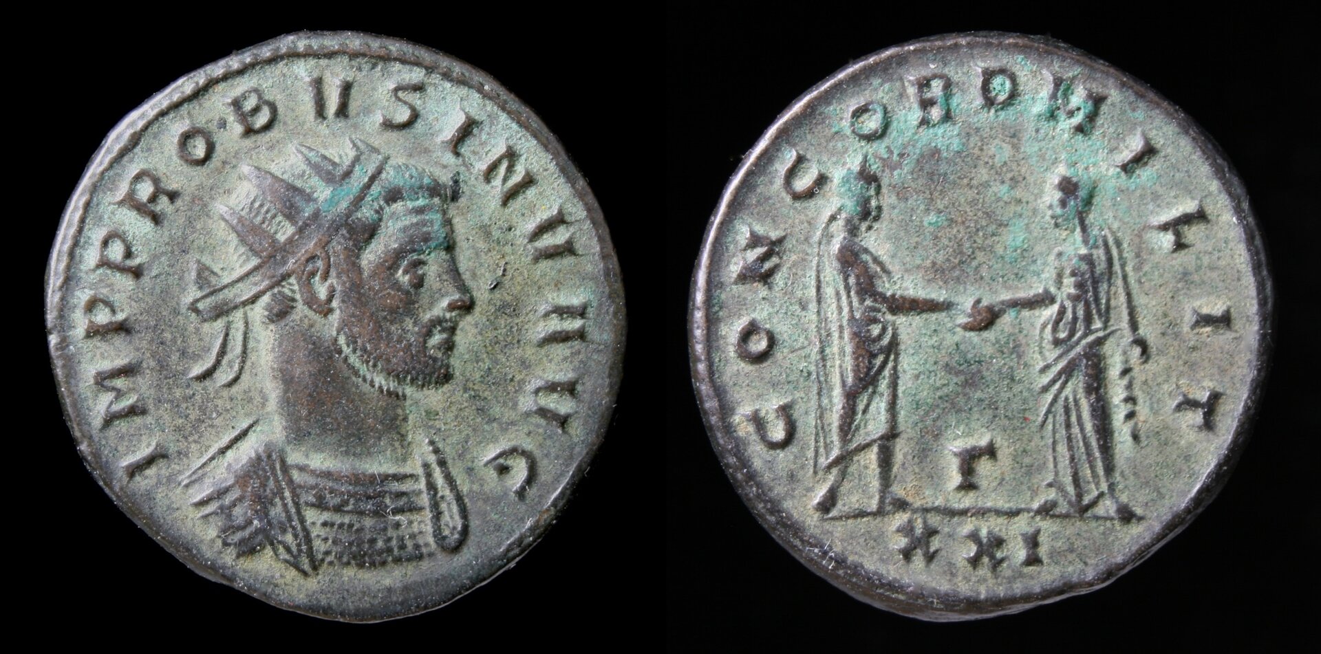 inv probus.jpg