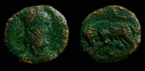 InvictaRoma10_opt.jpg