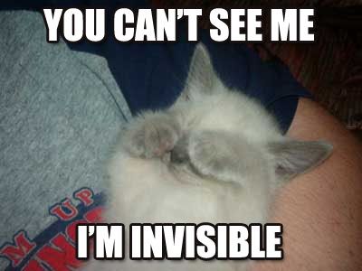 invisible_0.jpg