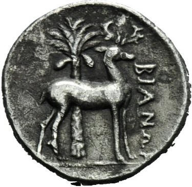 ionia ephesos b.jpg
