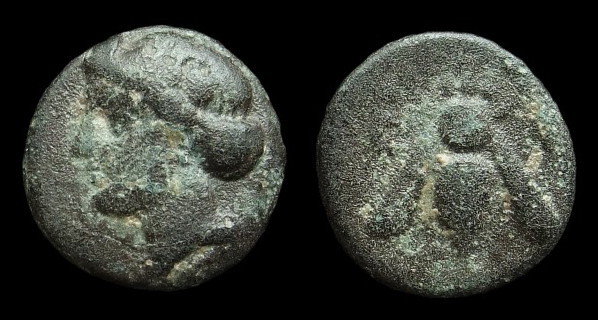 Ionia ephesos zumbly.jpg