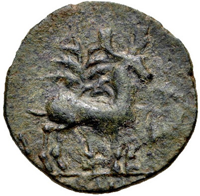 Ionia esphesos AE Bee & Stag b.jpg