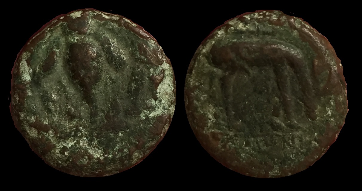 Ionia, Esphesus 280-258 BC AE16.jpg