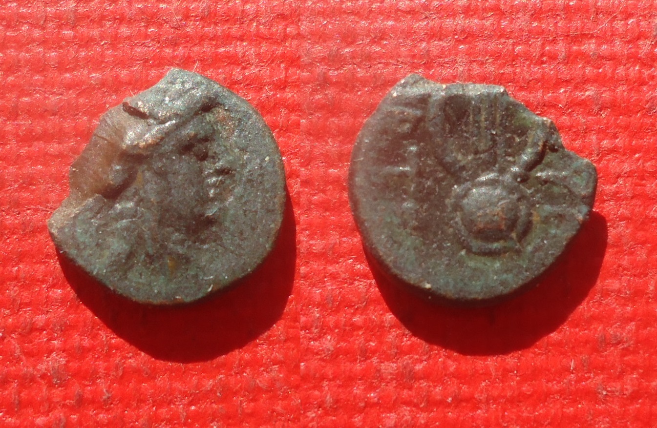 Ionia Snyrma AE Apollo Lyre Feb 2020 (2).JPG