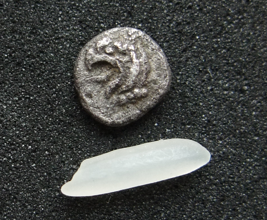 Ionia Teos Tetartemorion with rice grain.jpg