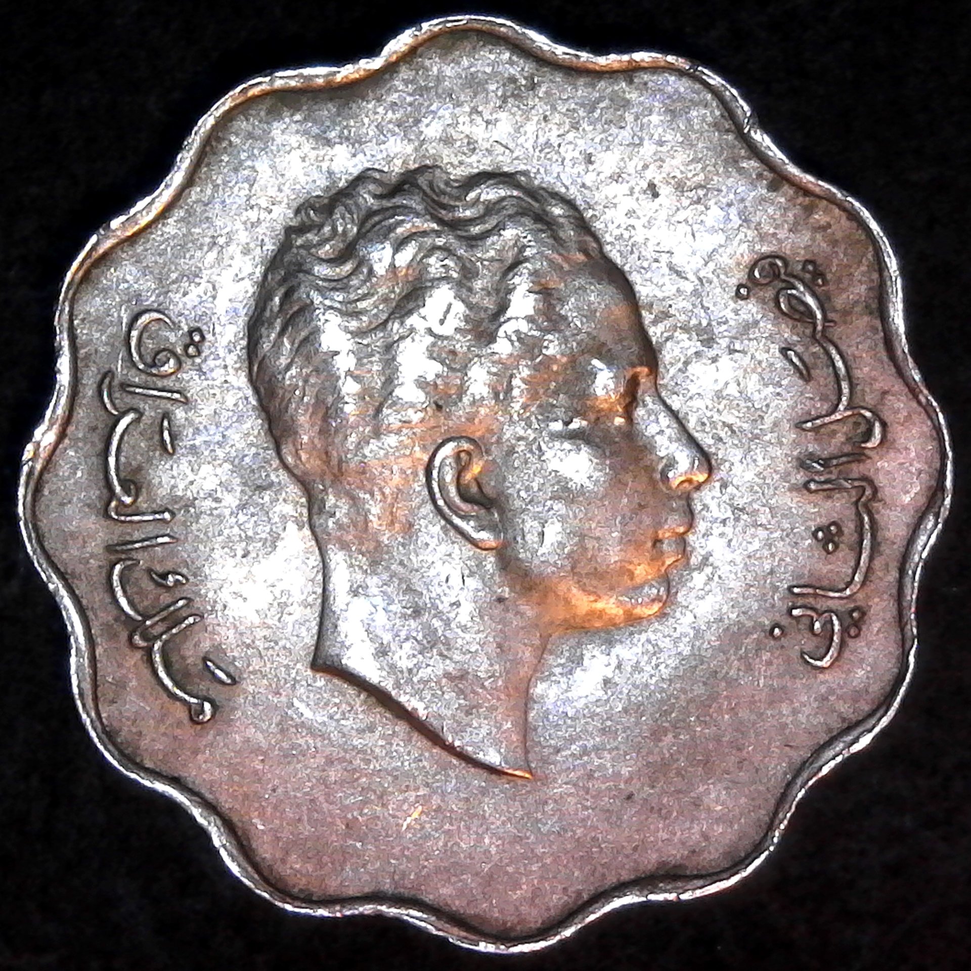 Iraq 10 Fils 1953 rev.jpg