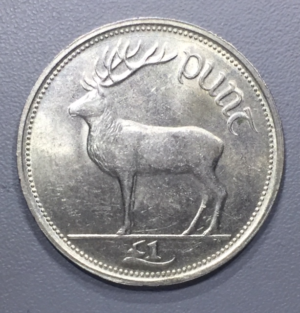 Ireland 1990 £1 coin error.jpg