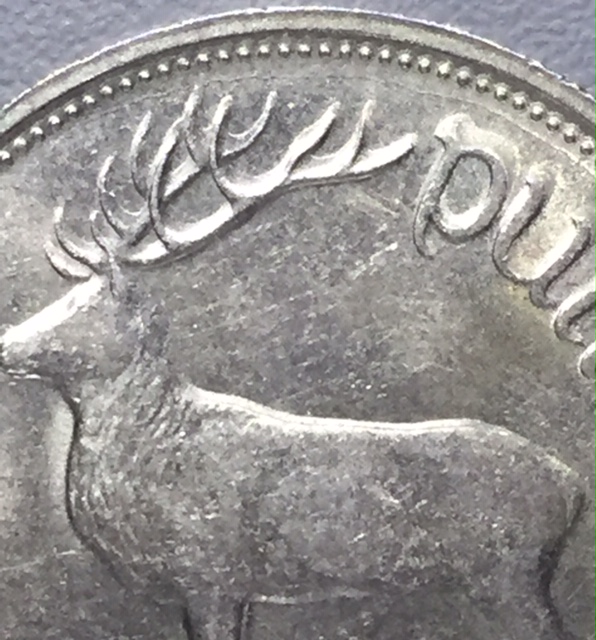 Ireland 1990 £1 coin error3.jpg