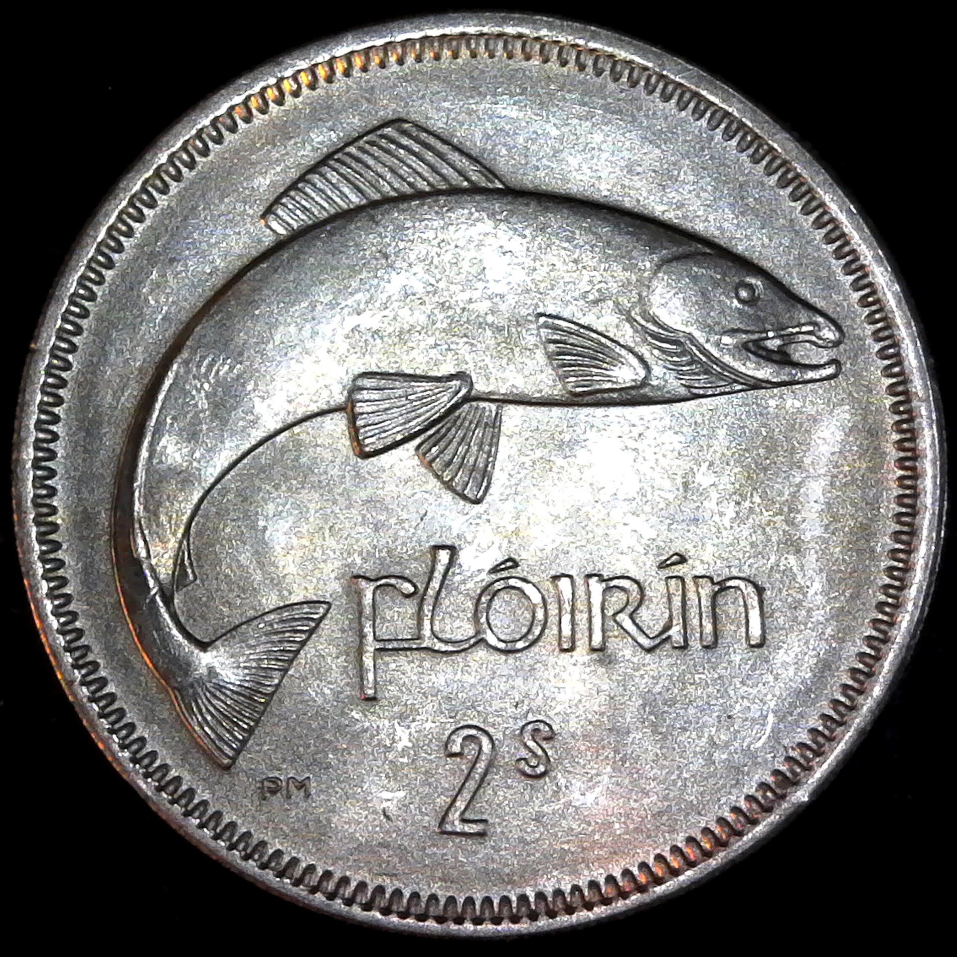 Ireland Florin 1964 obv.jpg
