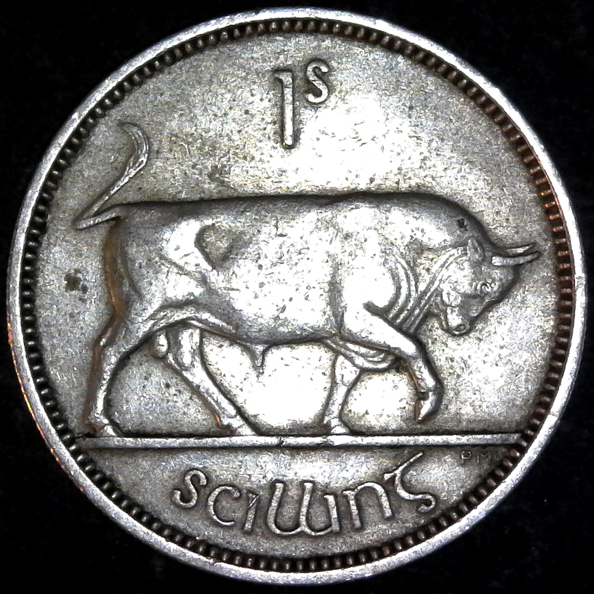 Ireland Shilling 1951 obv.jpg