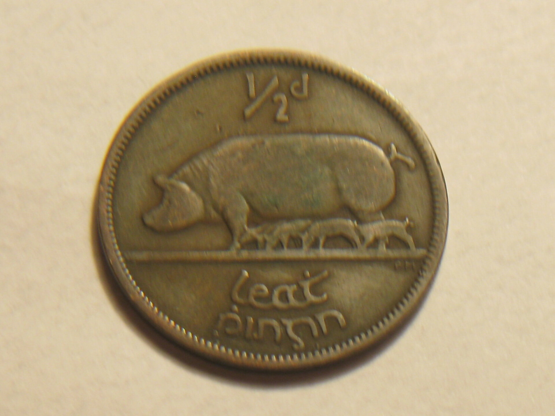 Irish half penny 001.JPG