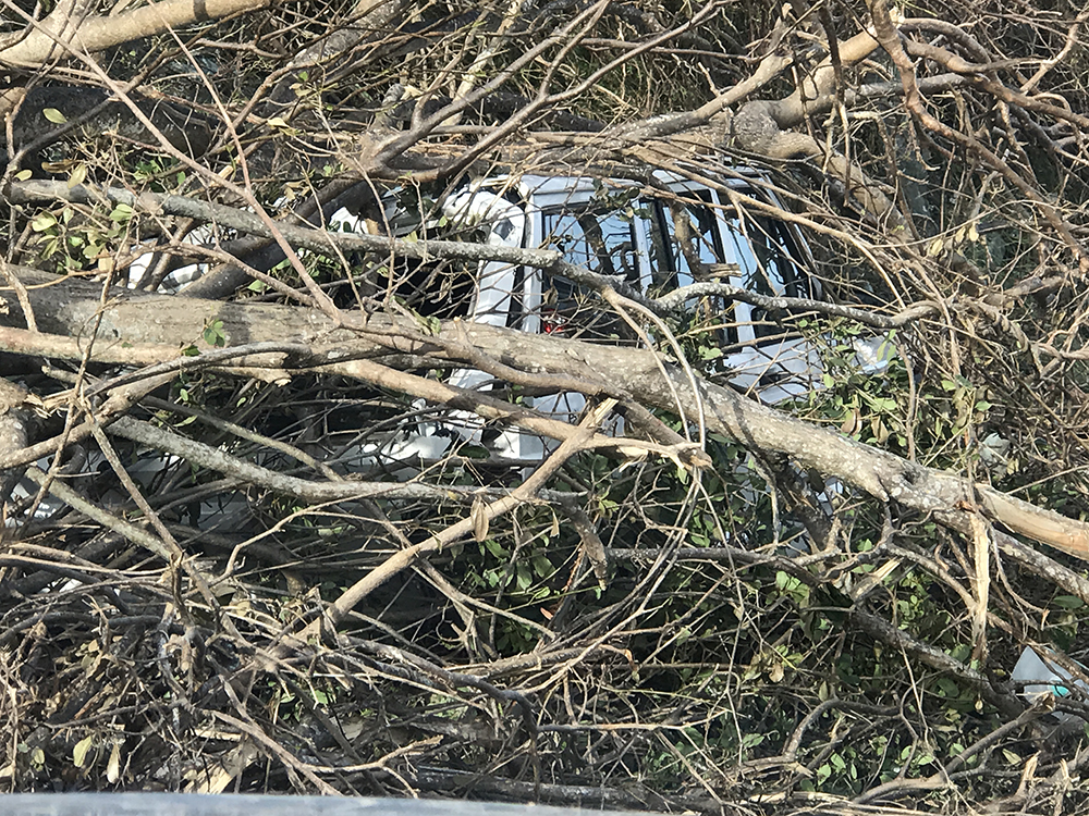 IrmaSTT-CarBuriedInTreeDebris.jpg