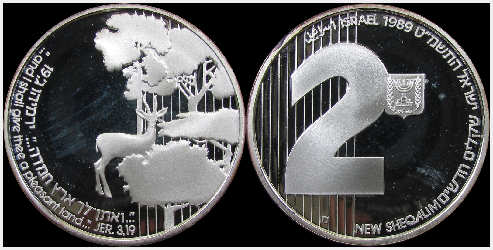 Israel 1989 2 New Sheqalim.jpg