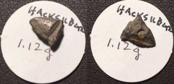 Israelite AR 2 Gerah Hacksilber ca 8th-6th C. BCE 8.8x10mm 1.12g ex David Hendin RARE.JPG