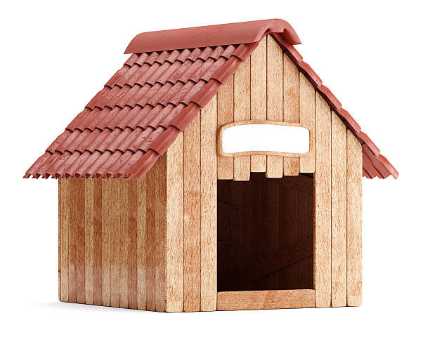 istockphoto-503845284-612x612.jpg