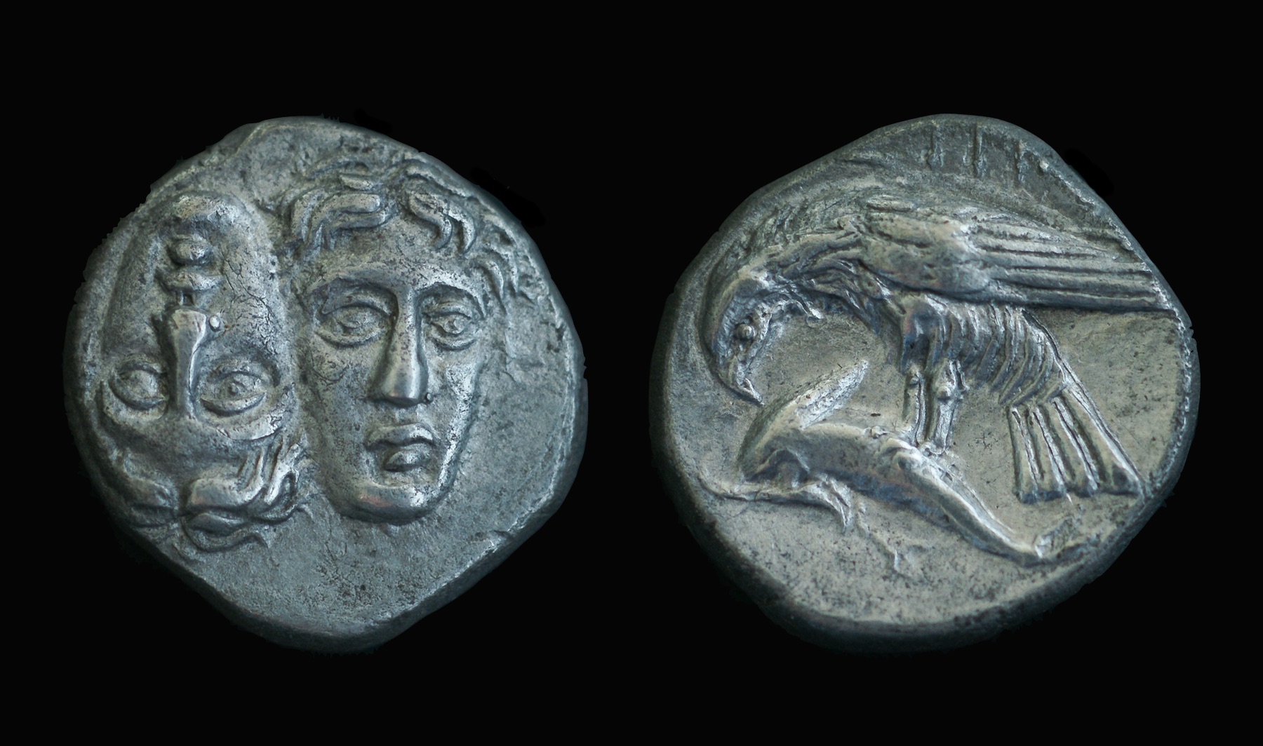 Istros didrachm.jpg