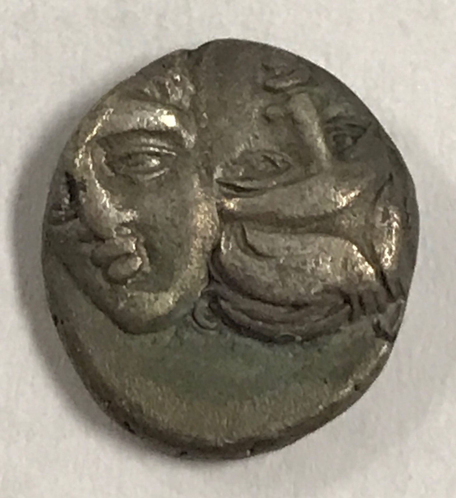 istros sea eagle b $40.jpg